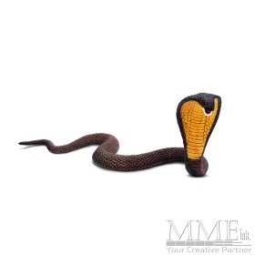 Cobra