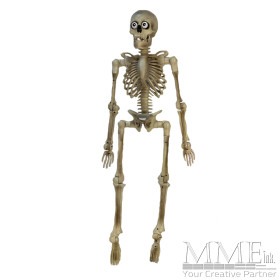 Eye Popping Skeleton