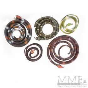 Snakes Set