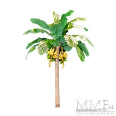 Banana Tree