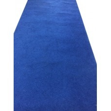 Blue Runner