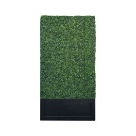 Box Hedge