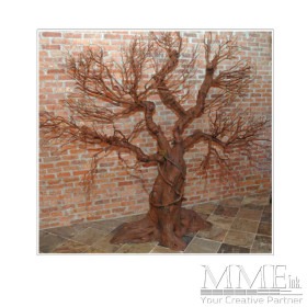 Bare Willow Tree
