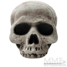 Jawless Skull