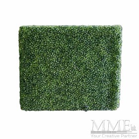 Low Box Hedge