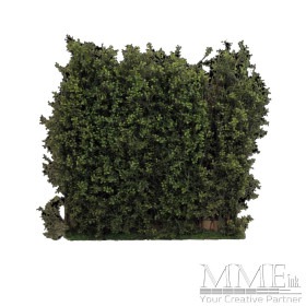 Low Bush