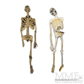 Skeletons