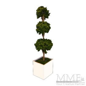 Tall Topiary