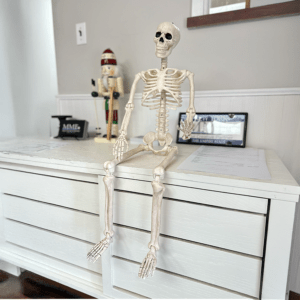 3FT Halloween Poseable Skeleton