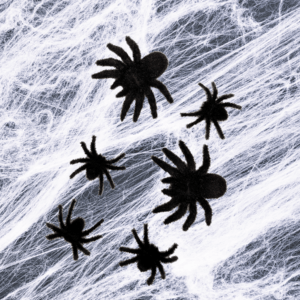 Spiders (Set)
