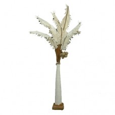 White Palm Tree